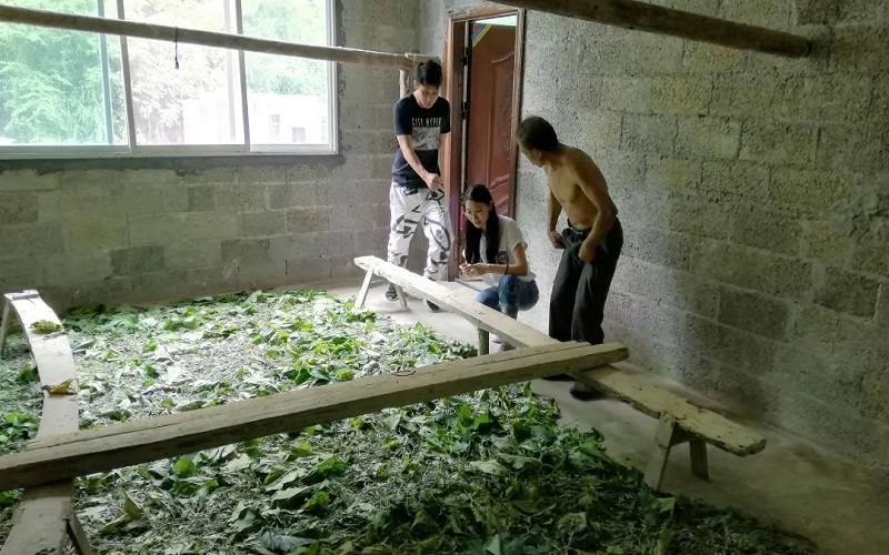麻将胡了2(中国游)官方网站 - IOS/安卓通用版/手机APP下载