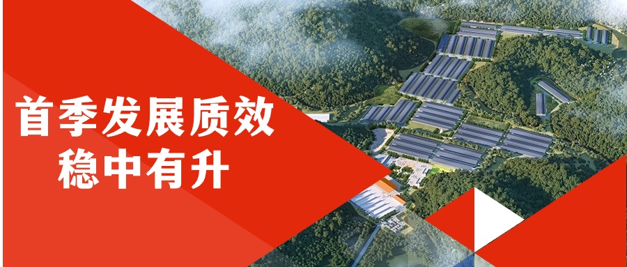 麻将胡了2集团首季发展质效稳中有升